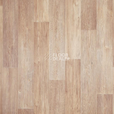 Линолеум Tarkett Лин П-К 31-2,0 Dub Karo фото 1 | FLOORDEALER